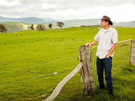 Pivotal Insurance Brokers - Gold Coast Insurance Broker